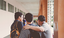 Mytylscholen en Tyltylscholen